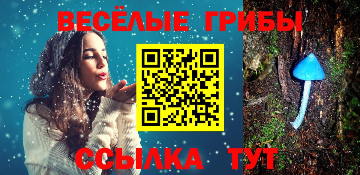 Псилоцибиновые грибы Magic Shrooms  Вход с VPN  Ликино-Дулёво  Галлюциногенные грибы MAGIC MUSHROOMS 